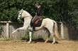 reiten - spanischer schritt