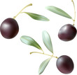 olive