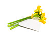 narcissus