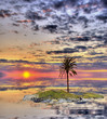 Island with a palm tree at sunset Island with a palm tree at sunset