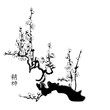 Sakura painting in chinese black and white watercolour style