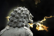 Stone lion with sky
