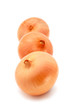 Photo en ligne au meilleur prix Row of onion