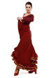 Flamenco dancer
