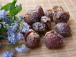 Foto: Waschnüsse Waschnüsse