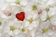 romantische Liebe