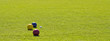Balls on Green Grass