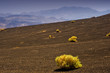 VOLCAN DEATH VALLEY_CALIFORNIA
