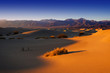 MESQUITE SAND DUNES_ DEATH VALLEY_CALIFORNIA