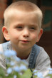 Boy And flowers
