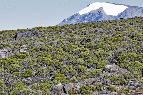 Kilimanjaro Horombo Kilimanjaro Horombo