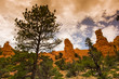 RED CANYON_UTAH