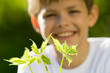 Foto: nature protégée 7 nature protégée 7