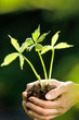 Foto: nature protégée 2 nature protégée 2