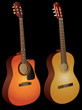 Vector isolated acoustic guitars Vector isolated acoustic guitars