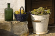 grapes in basket