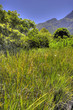 African wildernes