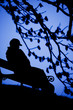 Photo: Person Alone Person Alone