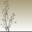 vector natural backgrounds…