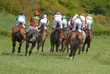 Foto: Chevaux et jockeys de dos Chevaux et jockeys de dos