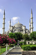 MosquéeBleue510