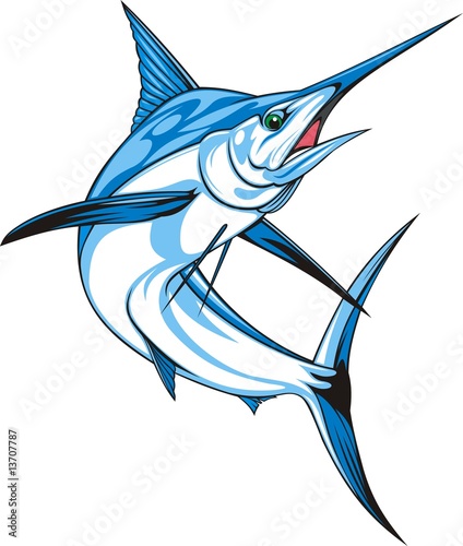 Illustration: marlin marlin