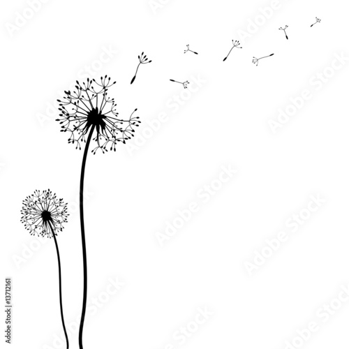 Pusteblumen