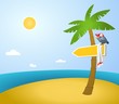 sun, island, summer