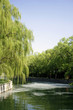 Foto: typical asian park in China typical asian park in China