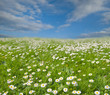 Frühling