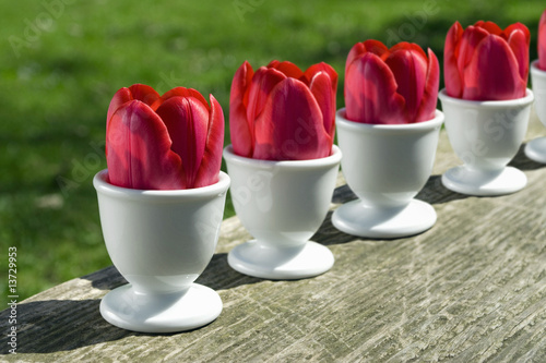 Photo: Tulips in egg cups Tulips in egg cups