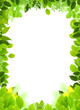 Natural frame and template
