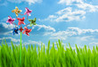 spring green grass