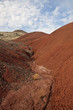 Painted Hills Landscape