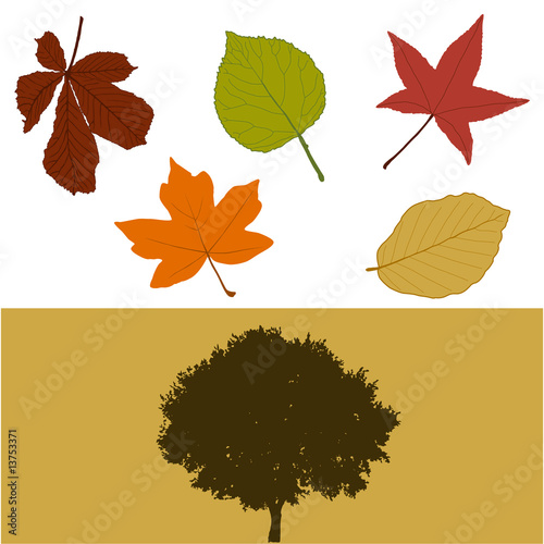 Vektor: Herbst_Baum_Blaetter Herbst_Baum_Blaetter