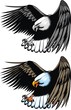 flying eagle