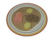 Saucisson lyonnais