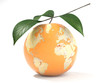earth map made on a peeled orange