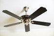Ceiling fan
