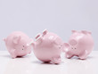 Overturned ceramic pigs representing swine flu