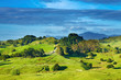 New Zealand landscape