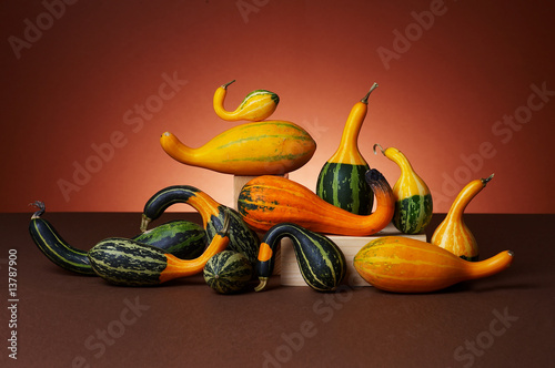 Photo: Studio shot of pumpkins Studio shot of pumpkins