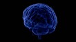 Video: Brain Trasparent Vein Spinning Brain Trasparent Vein Spinning
