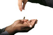 Hands and Coins