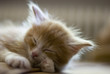 sleepy
