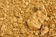 Natural Placer Gold Nuggets Natural Placer Gold Nuggets