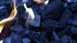 Real coal fire