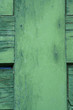 Green Wood II