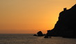 Leone di mare