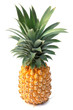 ananas "Victoria" de l'île de la Réunion